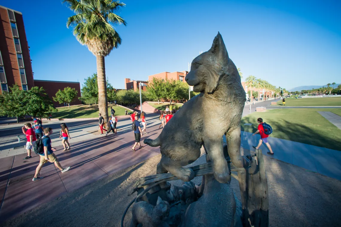 Statue of Wilbur Wildcat on UArizona campus